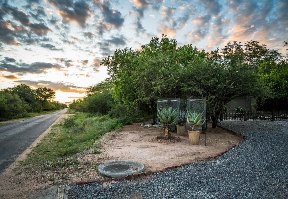 Nkanyi Wildlife House & Cottage