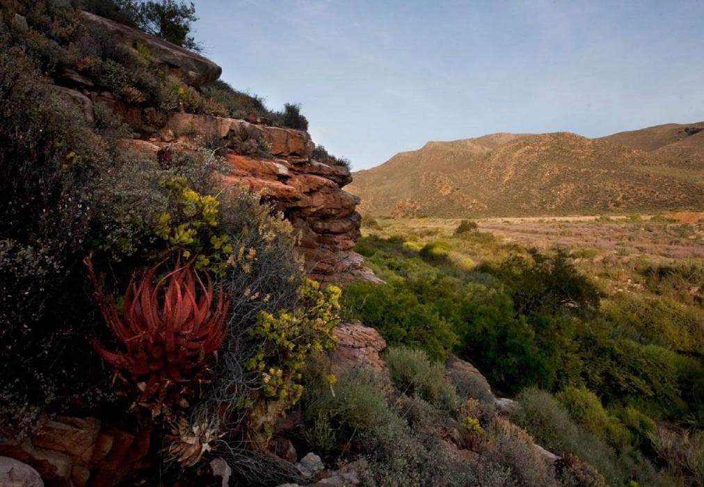 Karee Kloof Conservancy  Guest Farm