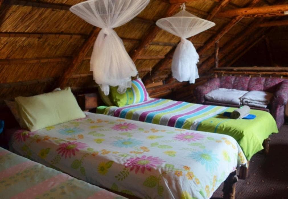 Petra Hostel  Backpacker Unit