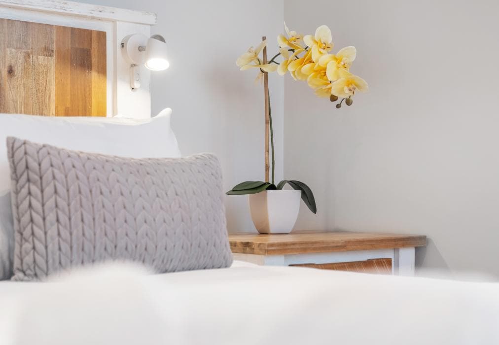 Burmeisteron Park 310