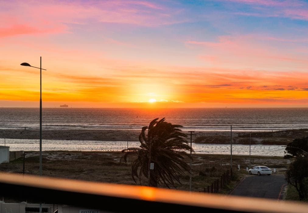 Burmeisteron Park 310