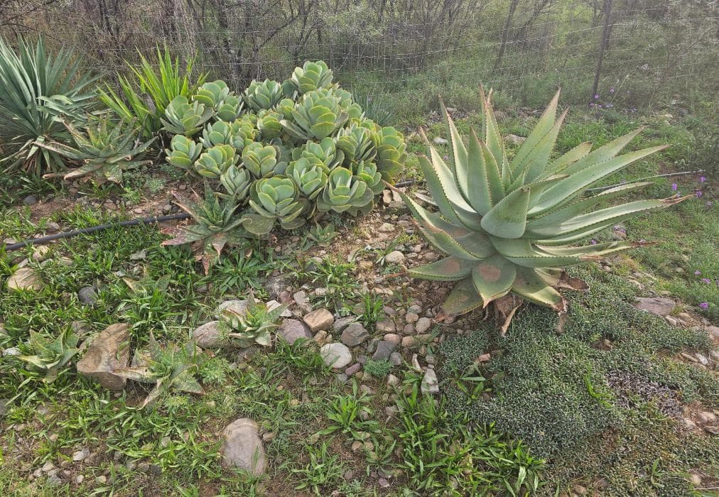 Amberdale Estate Self Catering