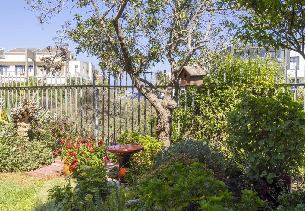 Wind Swallows Apartment