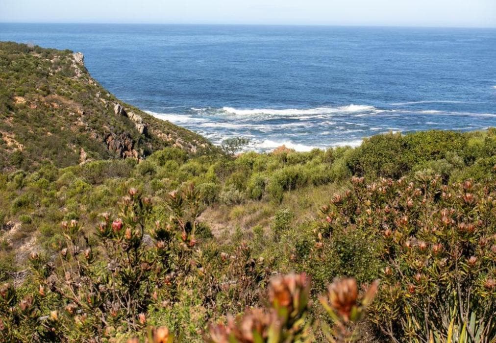 Pezula Ocean Breeze Retreat F7