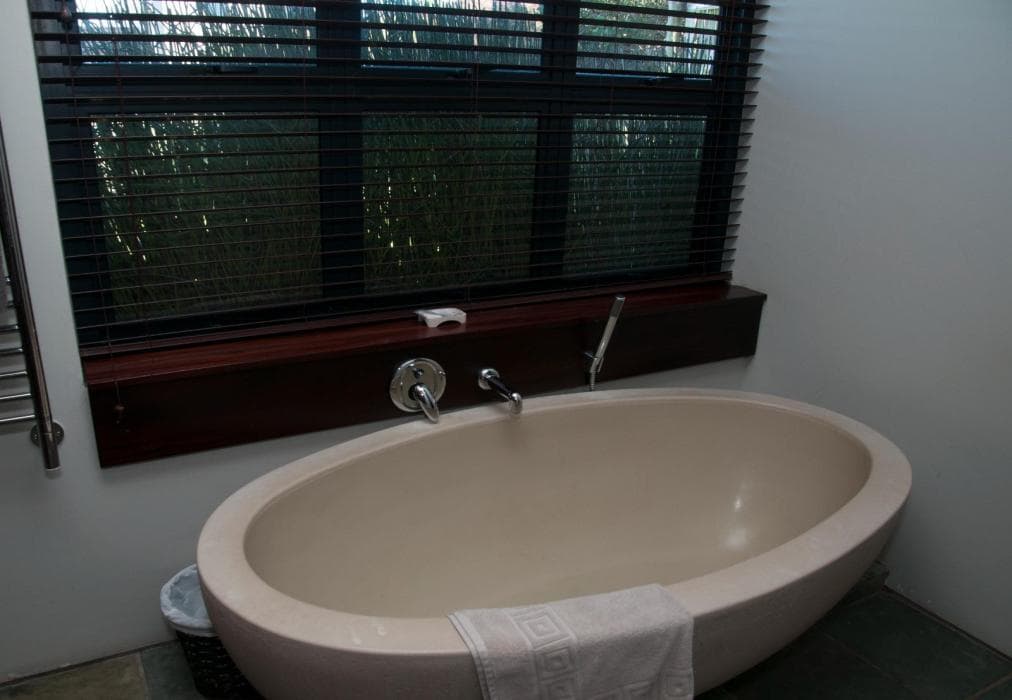 Pezula Martingale Delight  MG10