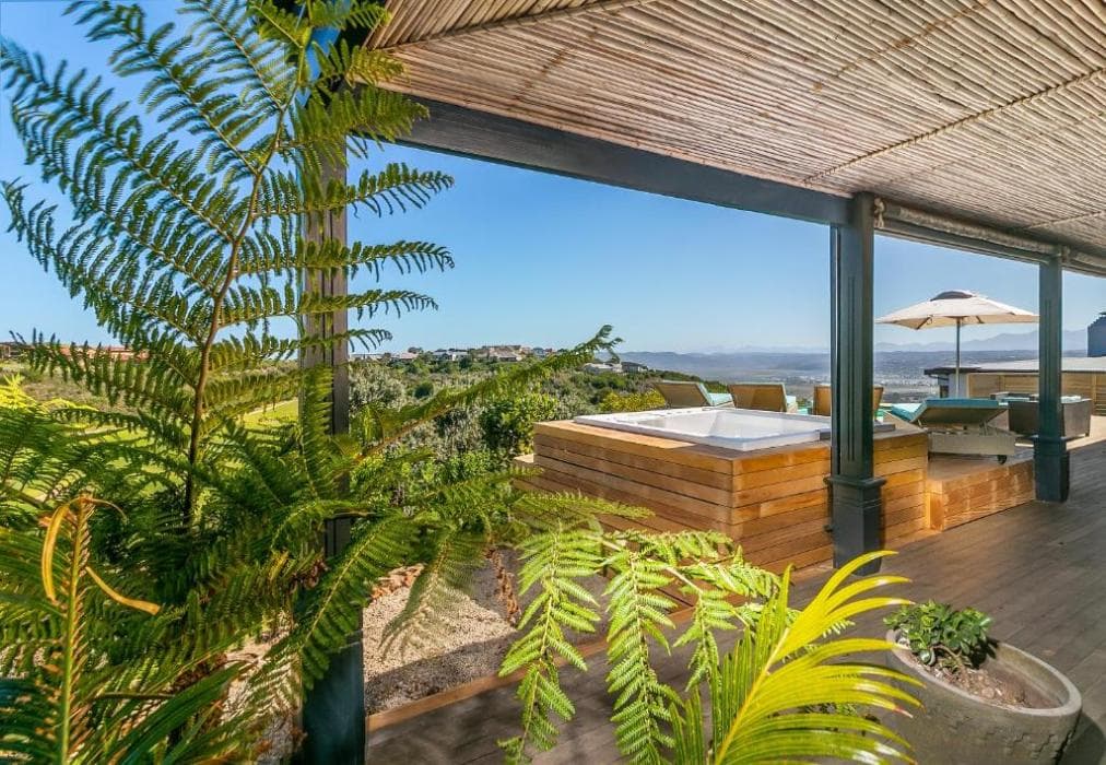 Pezula Franzis Dream  CM15