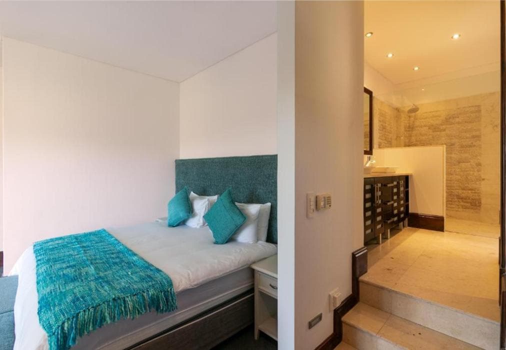 Pezula Franzis Dream  CM15