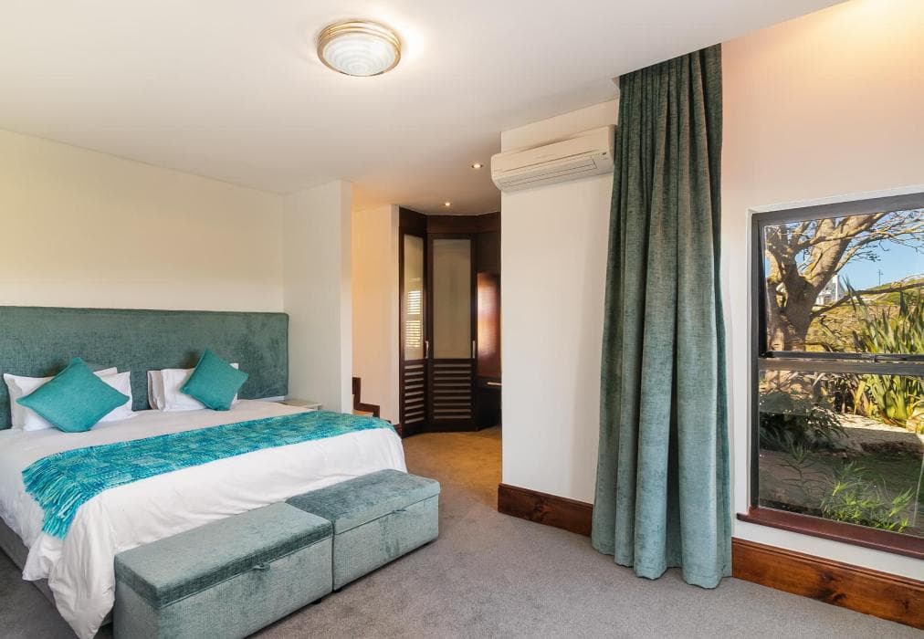 Pezula Franzis Dream  CM15