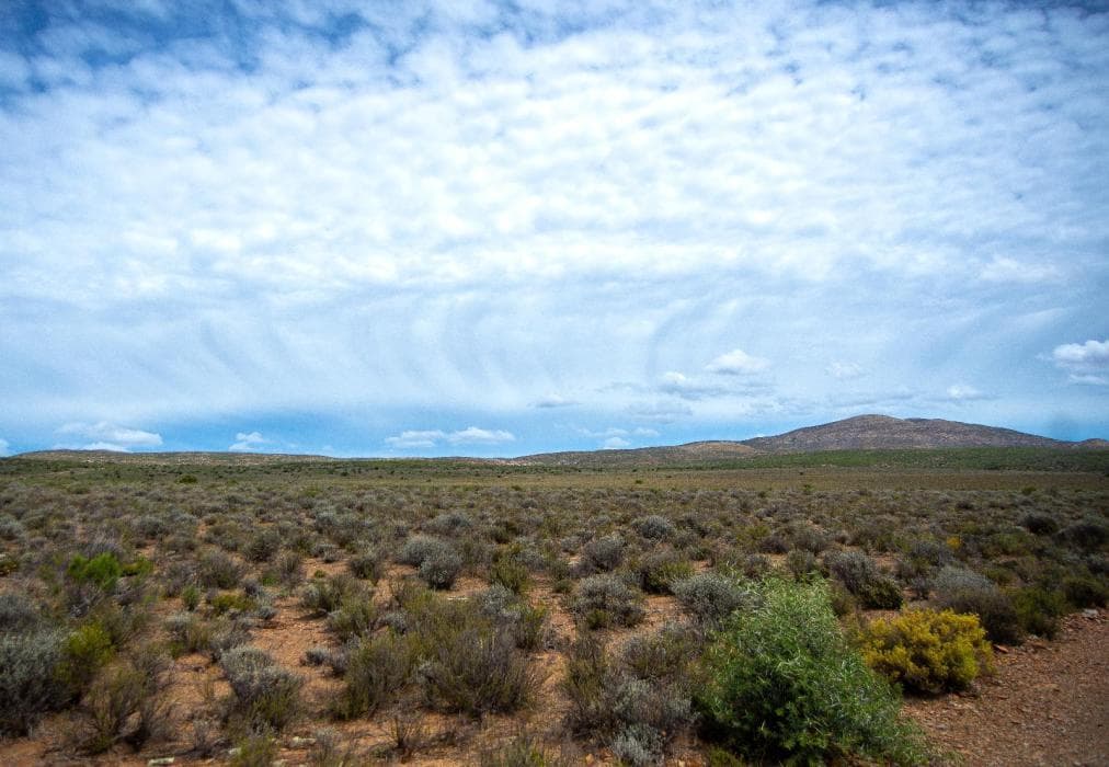 Elandspoort Private Game Reserve