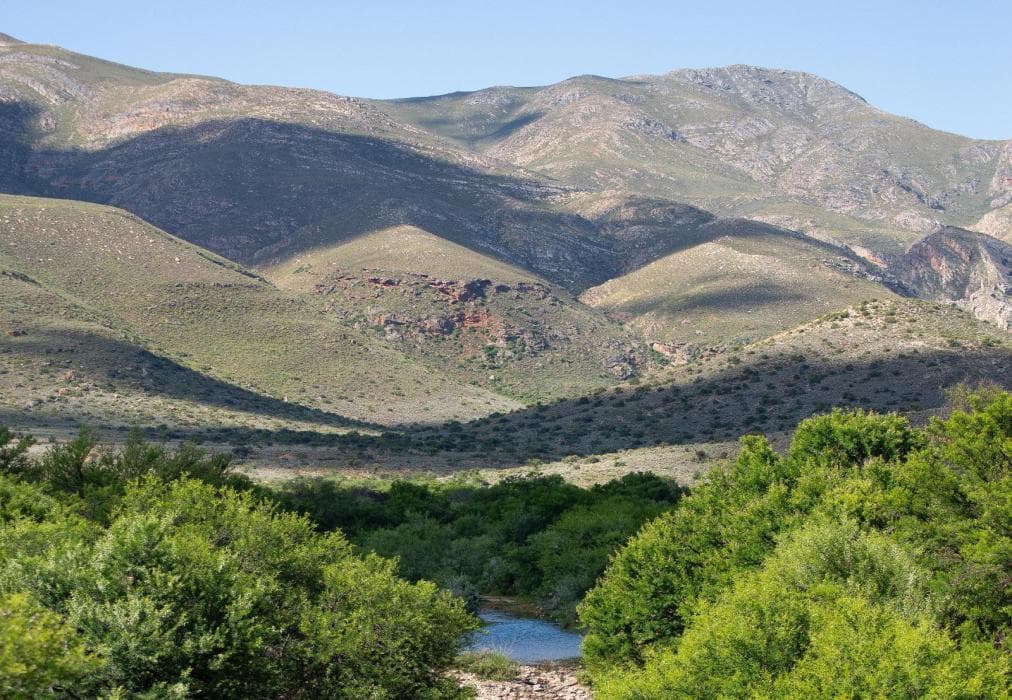 Elandspoort Private Game Reserve