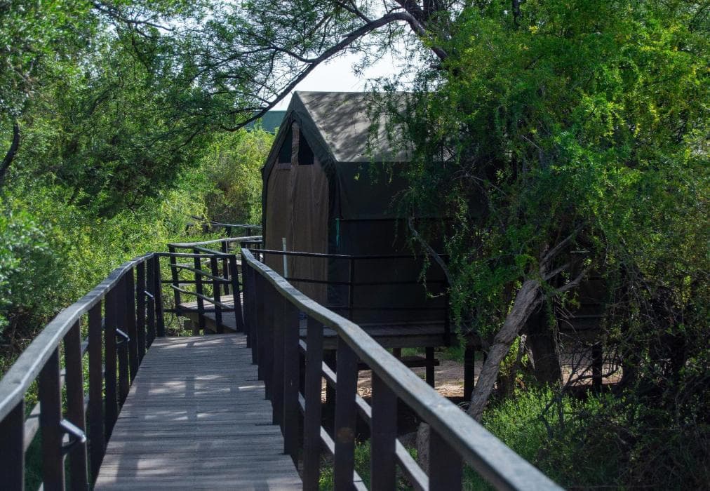 Elandspoort Private Game Reserve
