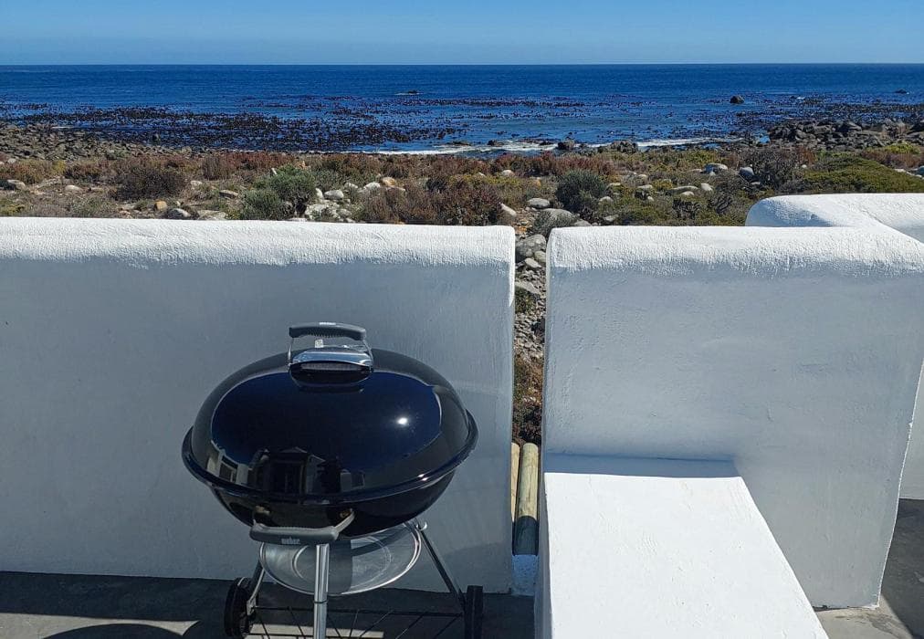 The Magical Mongoose