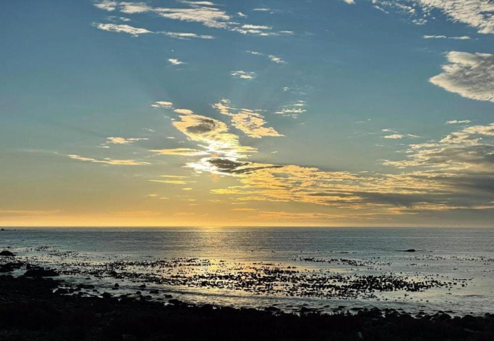 The Magical Mongoose