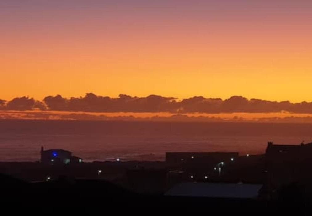 Bella Capensis and Stoepsit