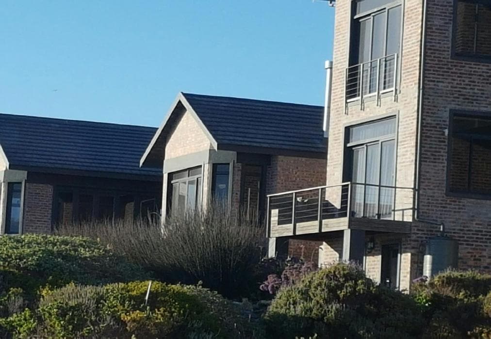 Bella Capensis and Stoepsit