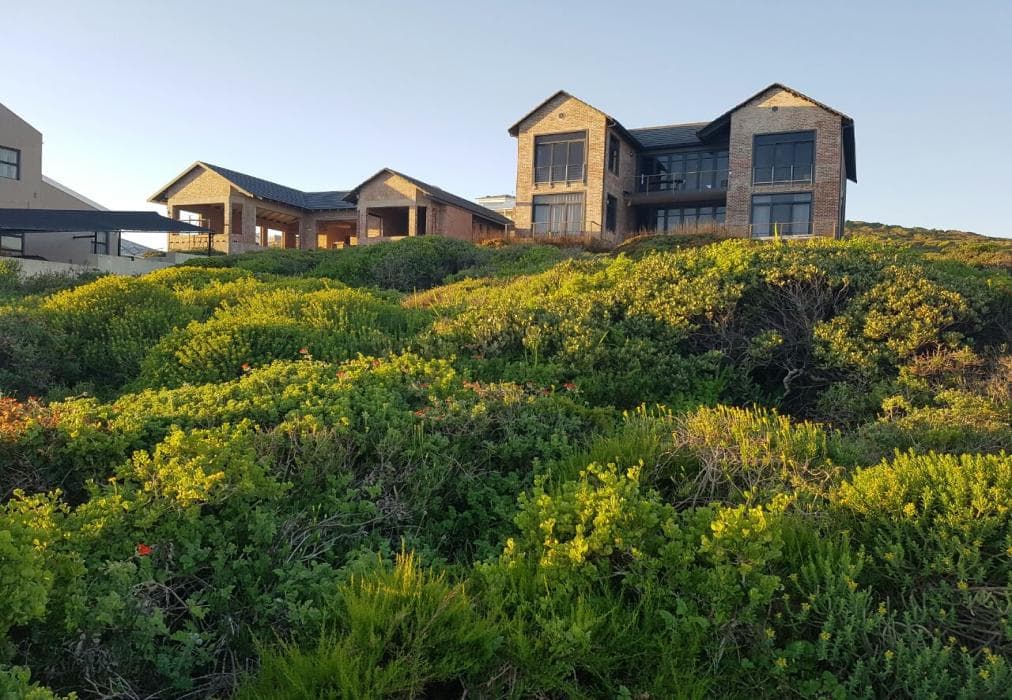 Bella Capensis and Stoepsit