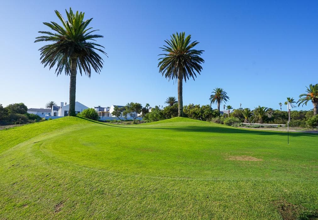 Sunlit Oasis Ocean and Golf Retreat