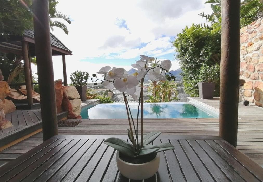 African Violet - Timber