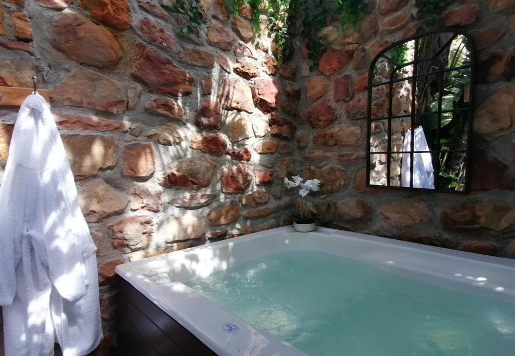 African Violet - Timber