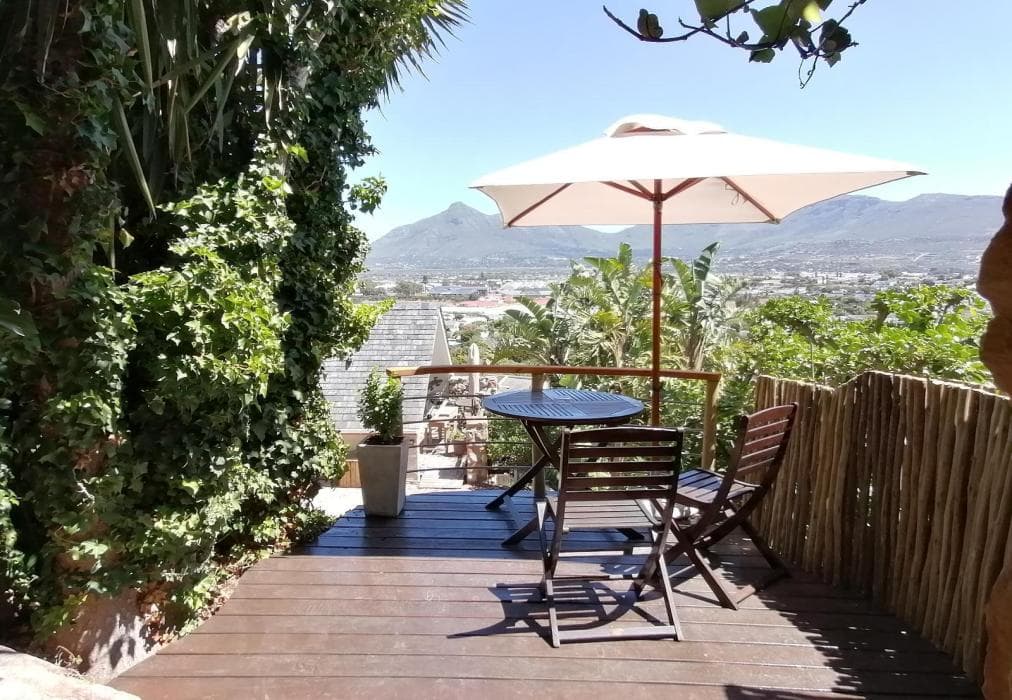 African Violet - Timber