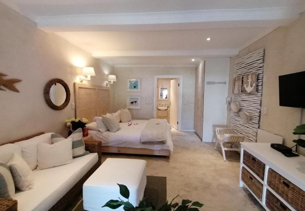 African Violet - Timber