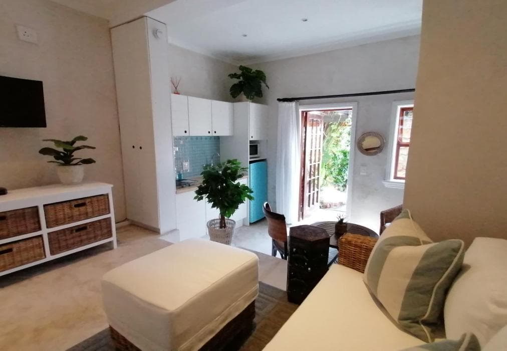 African Violet - Timber