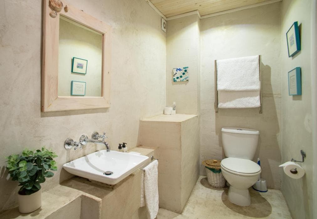 African Violet - Timber