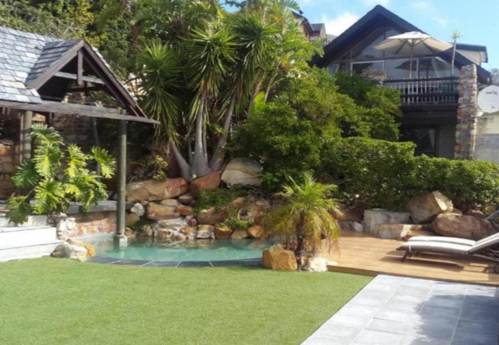 African Violet - Timber