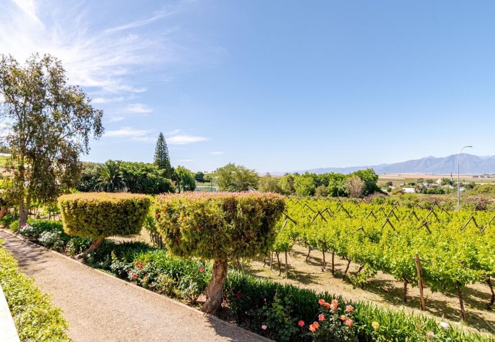 Riebeek-Kasteel Villa