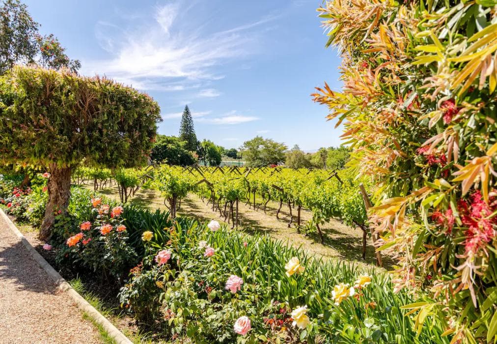 Riebeek-Kasteel Villa