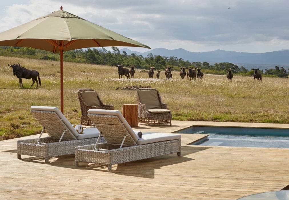 Gondwana Game Reserve