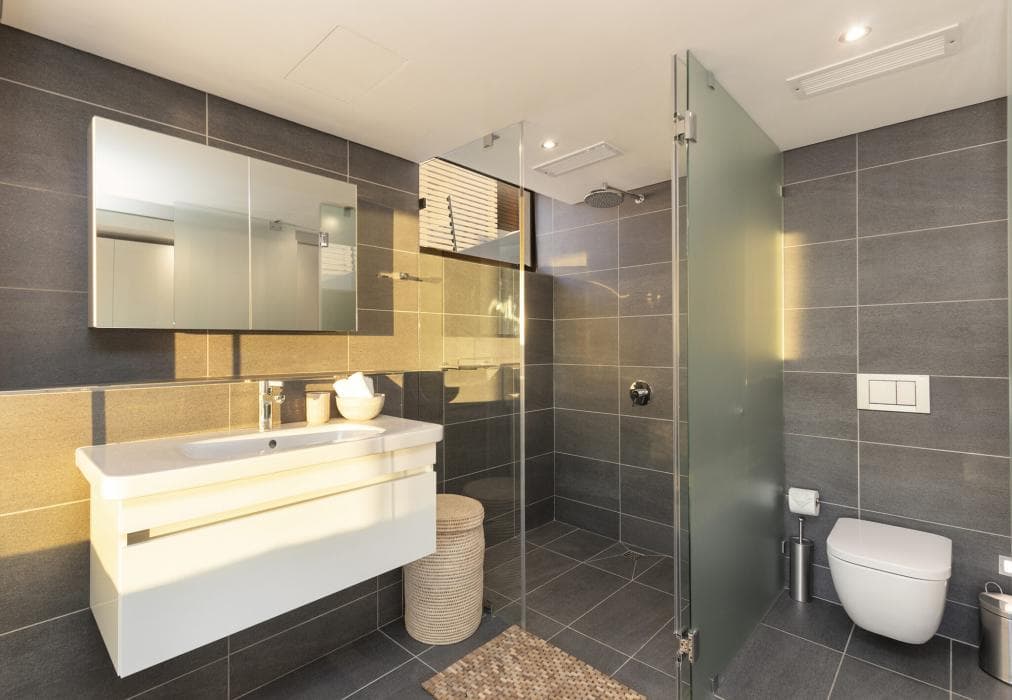 24 Geneva - Large Lux Villa