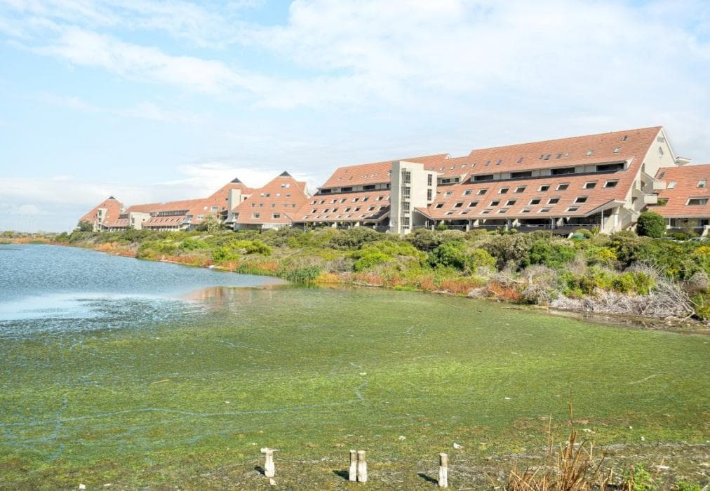 Stylish 3 Bedroom Apartment