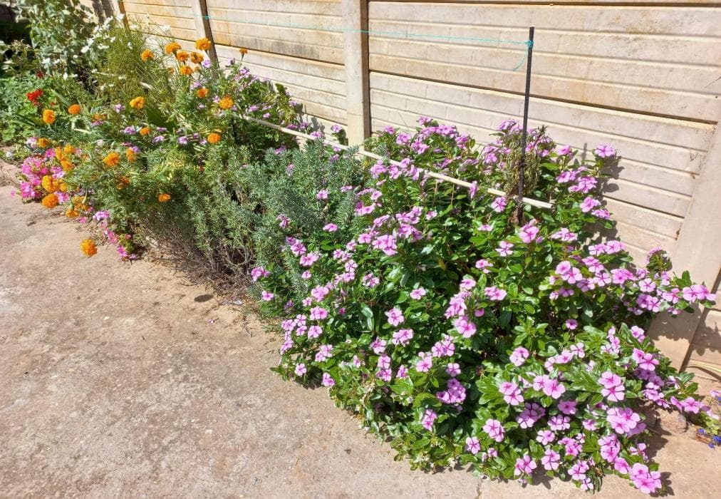 The Heidelberger Self-catering Guest Suite