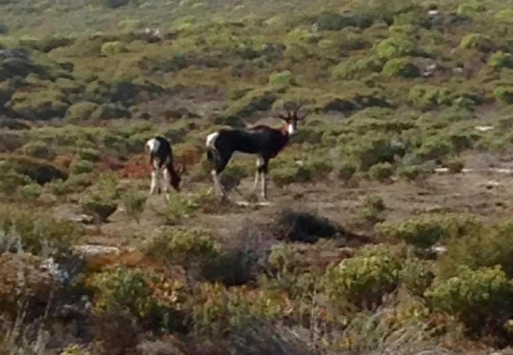 Scarborough Beach Bungalow