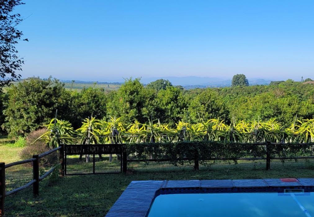 Aloe Arbour Selfcatering Cottages