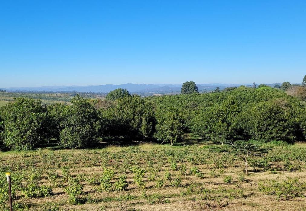 Aloe Arbour Selfcatering Cottages