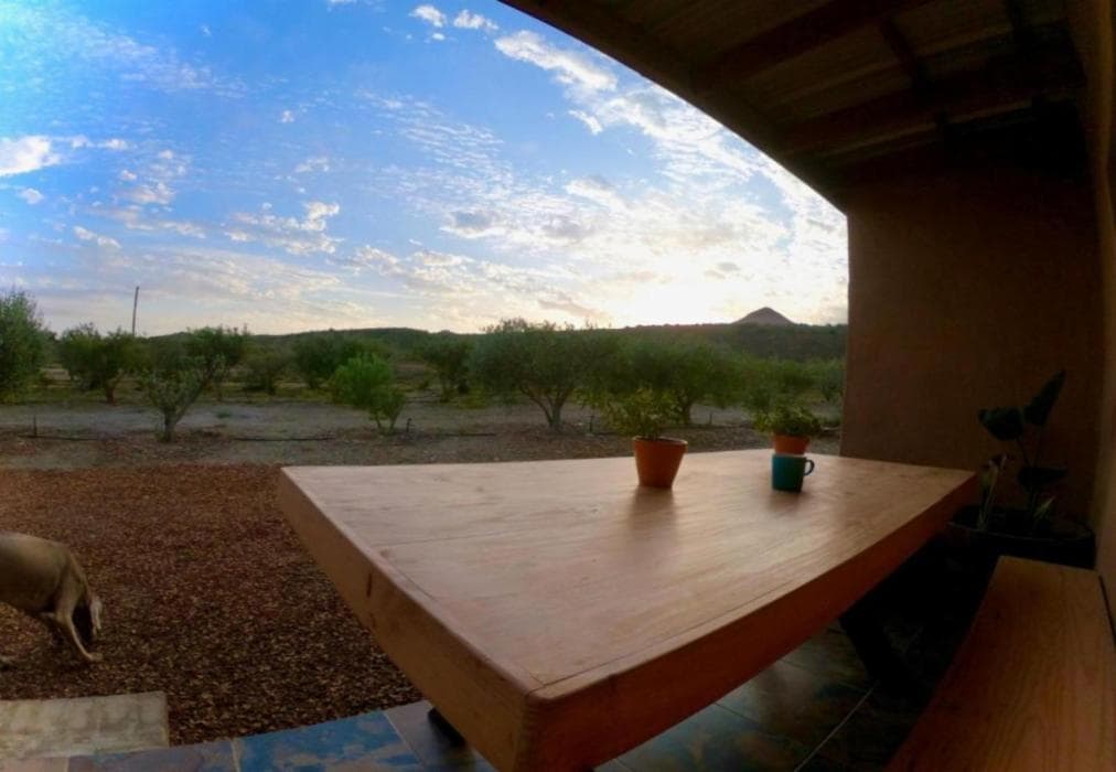 Altevrede Olive Farm