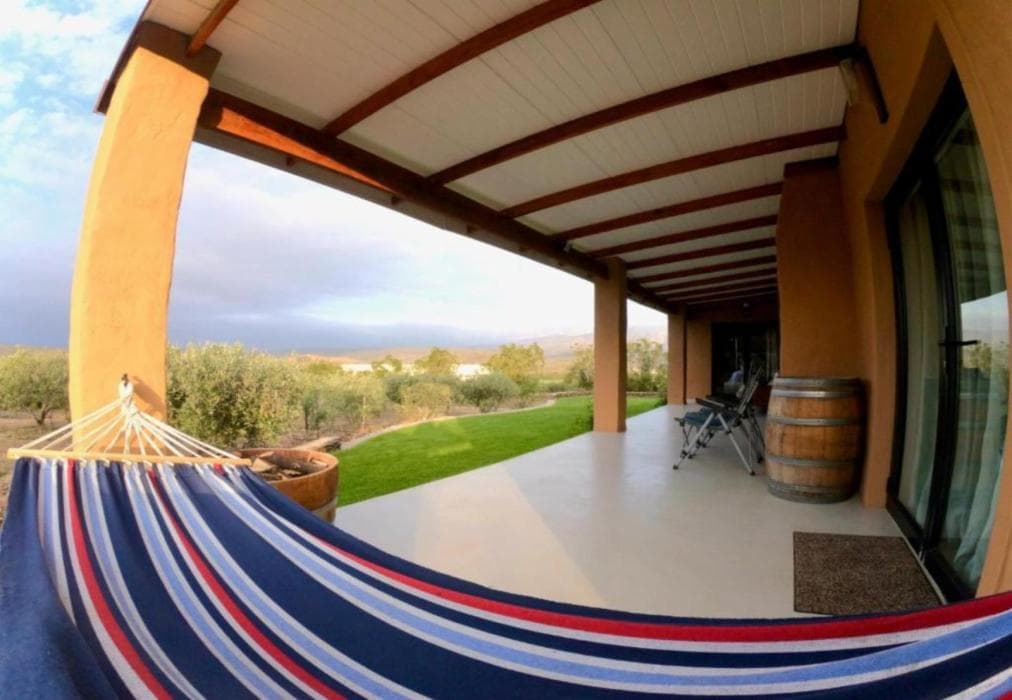 Altevrede Olive Farm