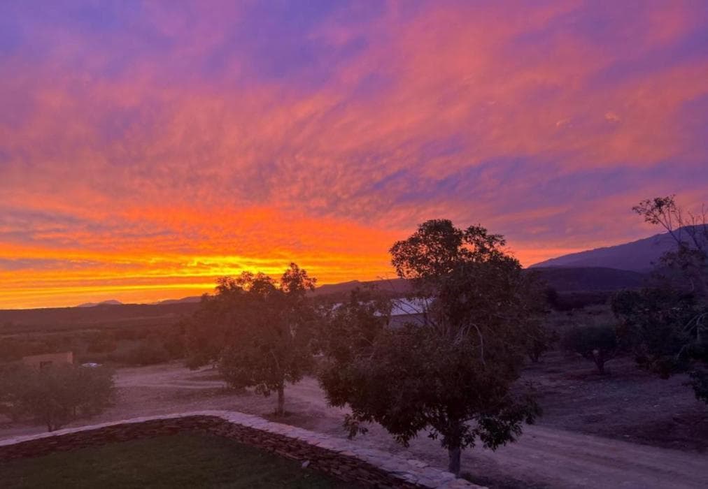 Altevrede Olive Farm