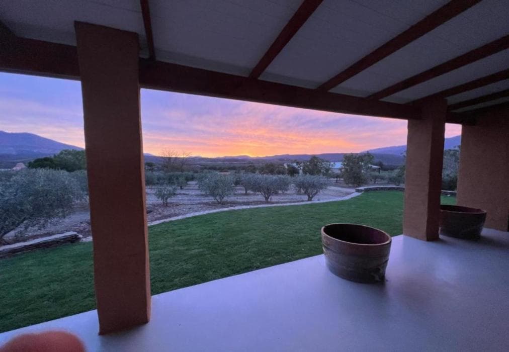 Altevrede Olive Farm