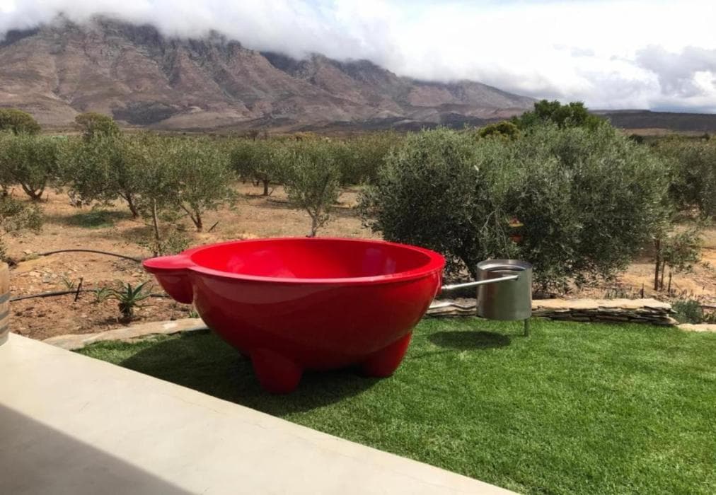 Altevrede Olive Farm