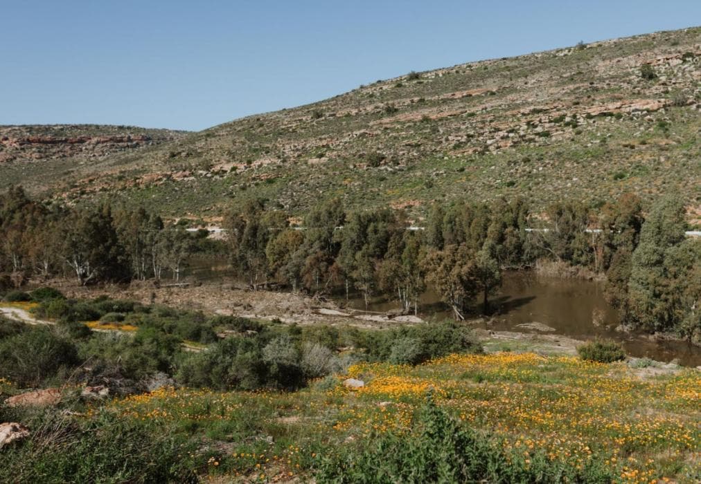 Ashanté Boutique Retreat