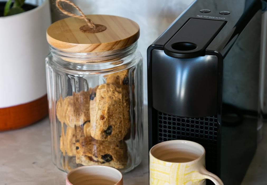 The Palm Flats - Sunshine & Seashells