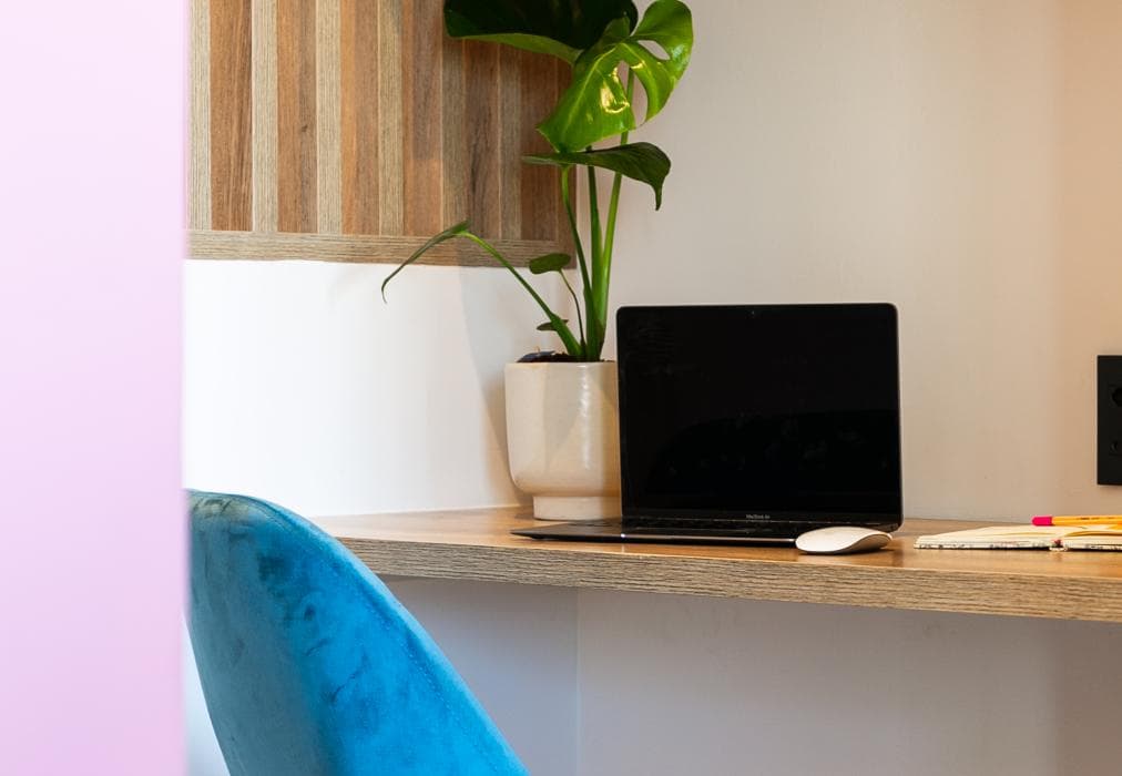 The Palm Flats - Panoramic Peaks