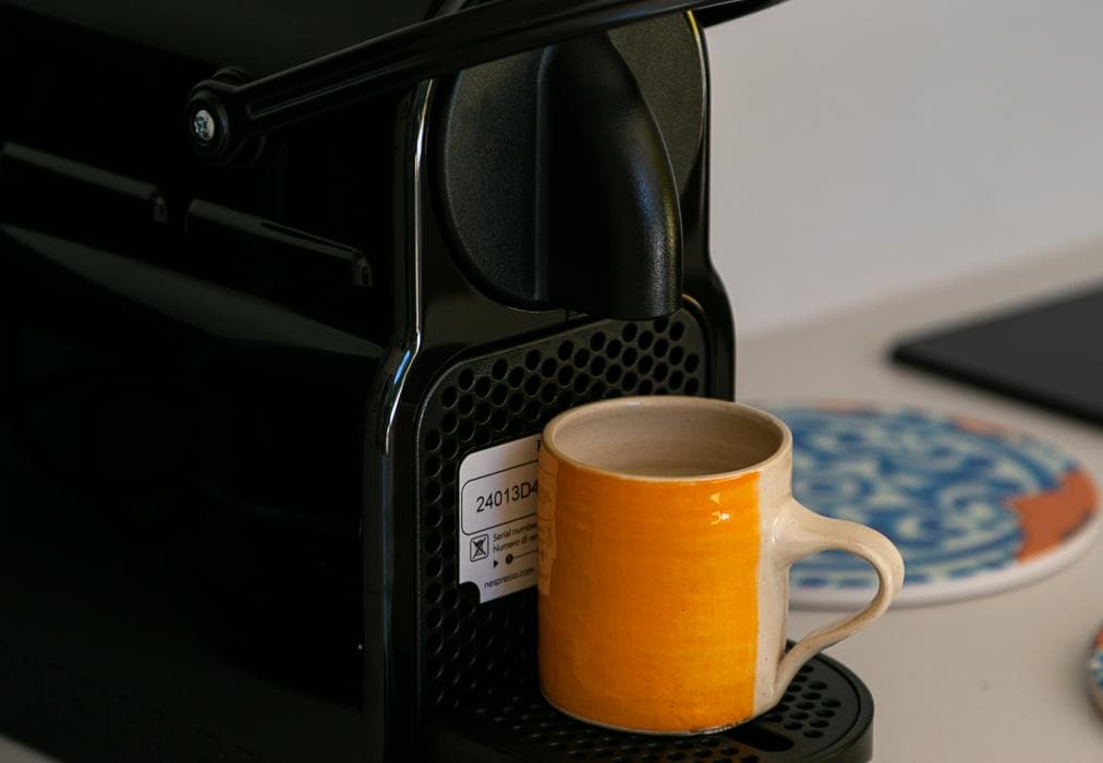 The Palm Flats - Sunlit Serenity