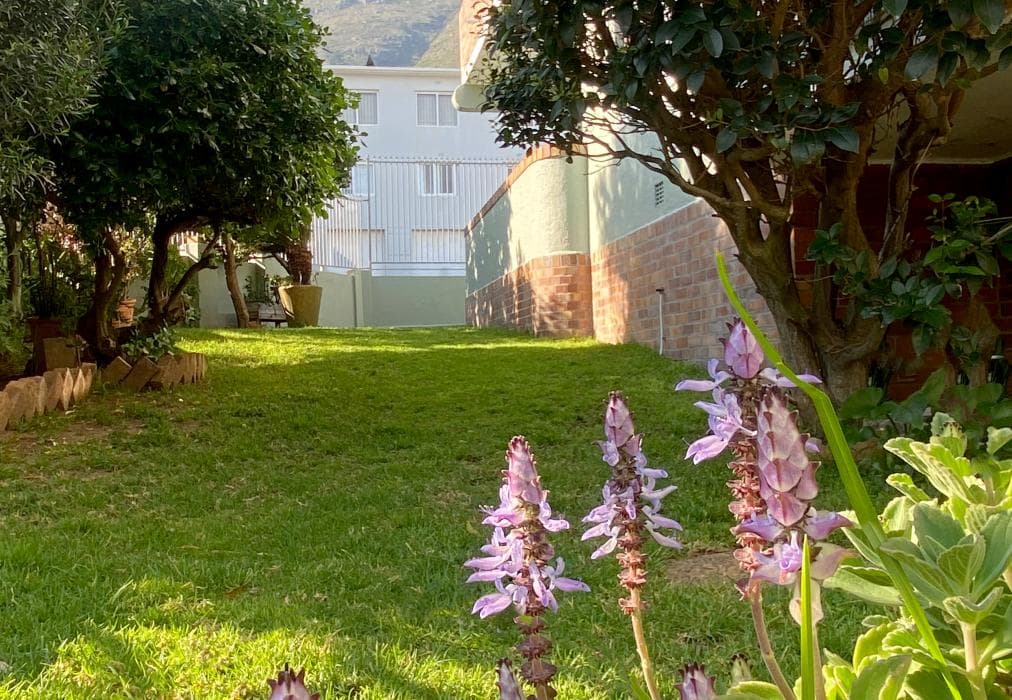 Minimalistic & Spacious Vredehoek Gem