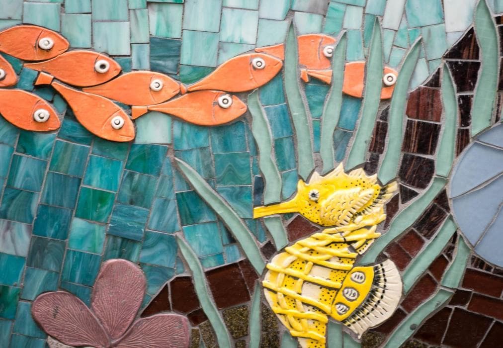 Noordhoek Hidden Gem