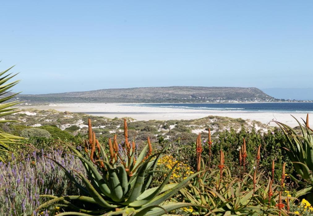 Noordhoek Bliss Beach House