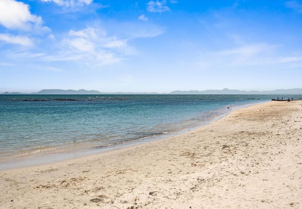 Waves and Wildflowers